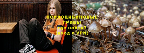 кокаин Алексеевка