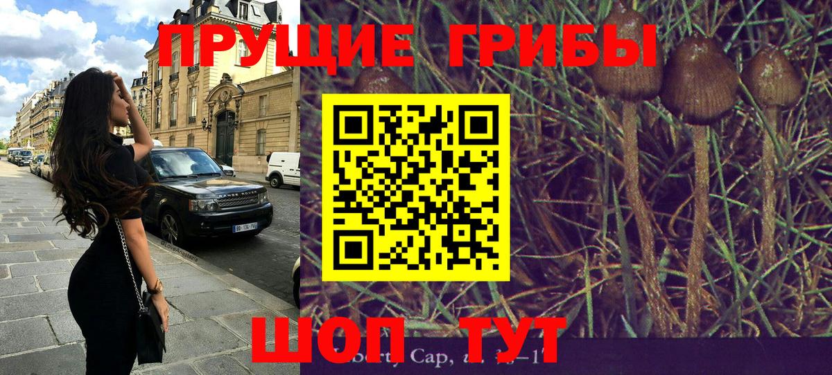 Псилоцибиновые грибы Psilocybine cubensis  Вход с VPN  Слободской 